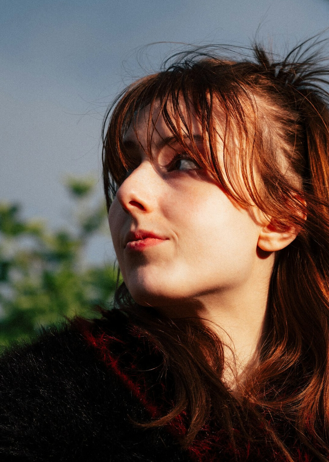 Portrait of a young woman with brown hair